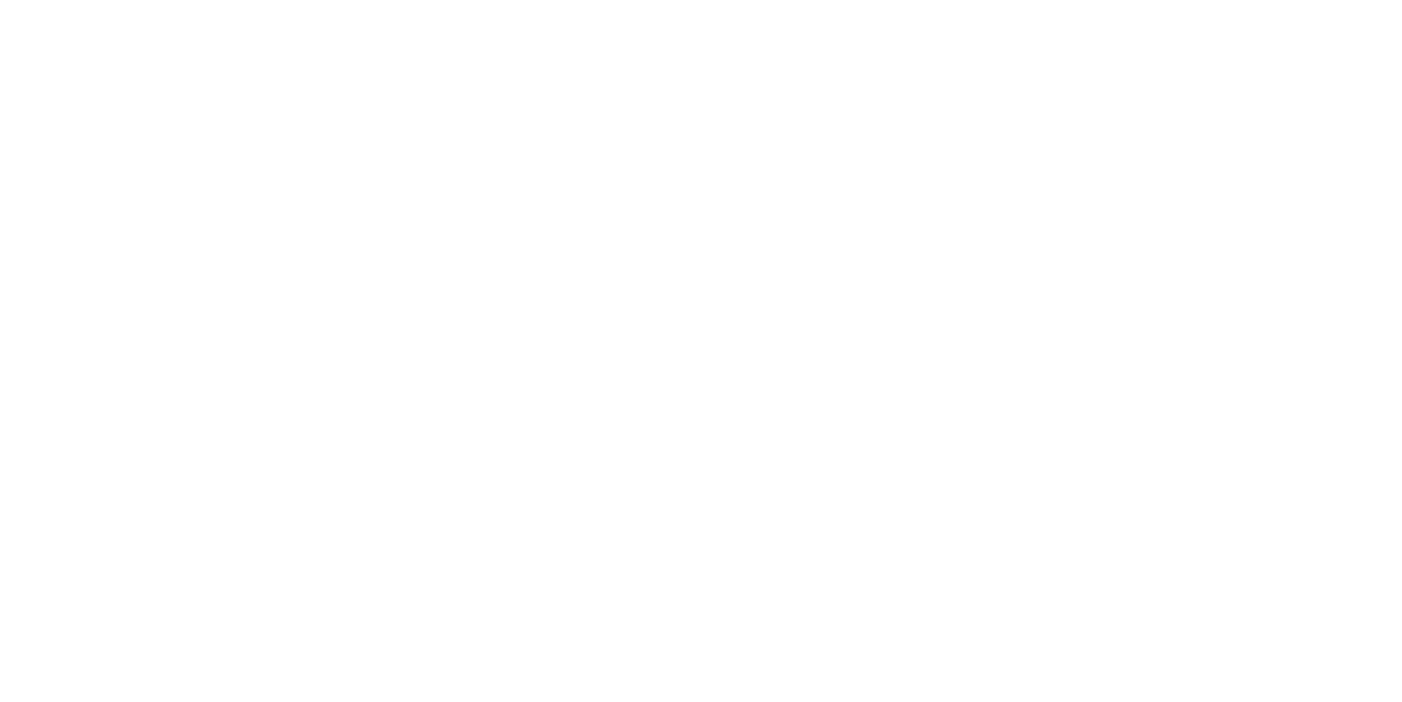 Tempe logo